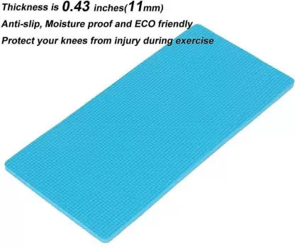 Double Wheel Ab Roller for Core & Abdominal Strength Training