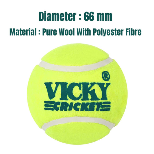 High-Bounce Lightweight Rubber Cricket Balls – Pack of 6